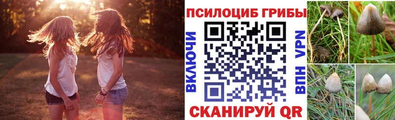 Псилоцибиновые грибы Psilocybine cubensis что такое наркотик Вельск